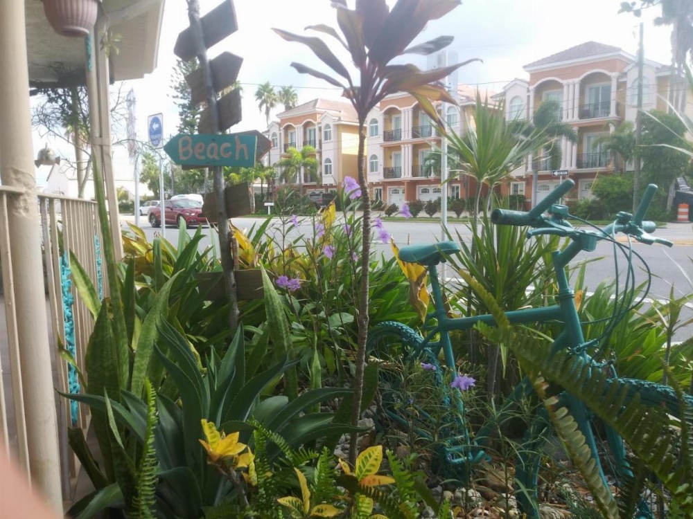 Siesta Motel and Surfside Cabanas Image 36
